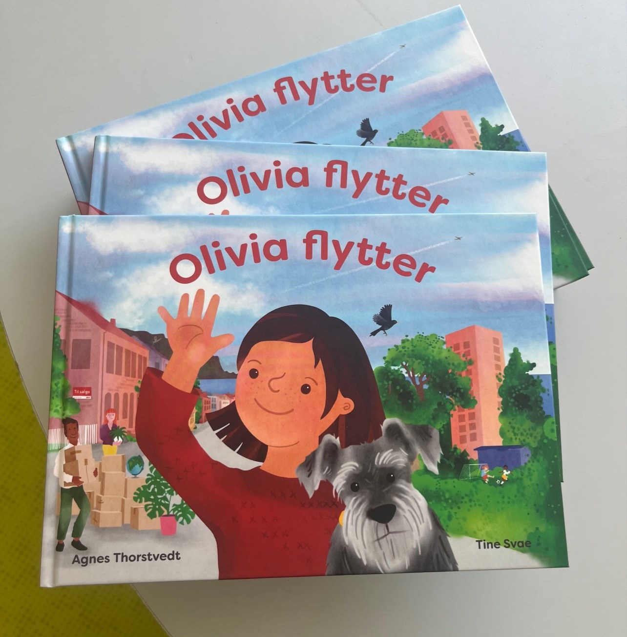 Boken er utgitt sammen med Svovel fabrikk & butikk, landets eneste rendyrkede barnebokbutikk, og forfatter- og illustratørduoen Agnes Thorstvedt og Tine Svae.