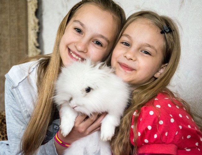 Passe et dyr er koselig. Her to jenter som passer en kanin.