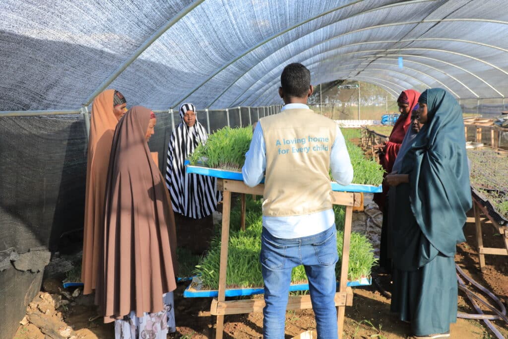 En gruppe kvinner i Somalia får opplæring i hydroponisk dyrking inne i et drivhus. En mann fra SOS-barnebyer står foran dem med spirer på et bord.