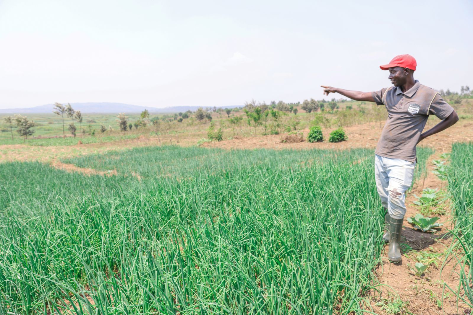 Solcelledrevet vanning gir familier i Rwanda stabile avlinger og inntekt. Foto: SOS-barnebyer