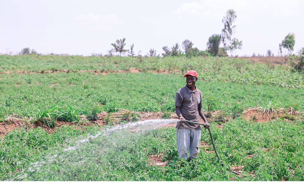 Solcelledrevet vanning gir familier i Rwanda stabile avlinger og inntekt.