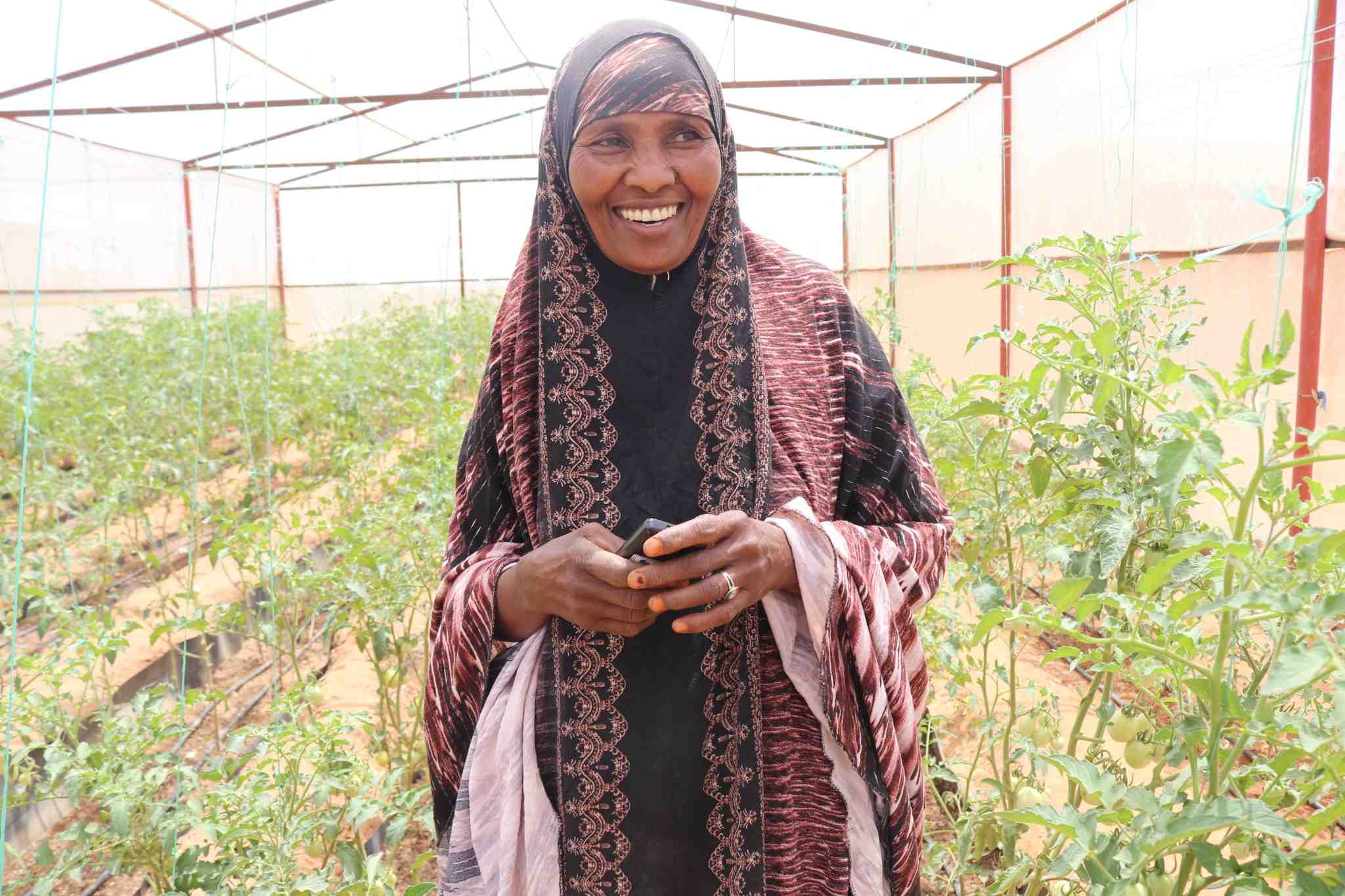 Familie i Somaliland som dyrker grønnsaker gjennom klimasmart landbruk.