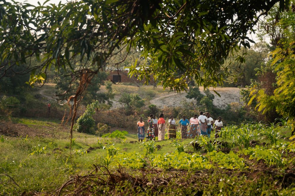 Odd Fellow styrker familier i Ngabu. Foto: Cornel van Heerden