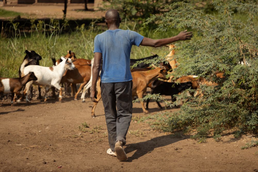 Odd Fellow styrker familier i Ngabu. Foto: Cornel van Heerden