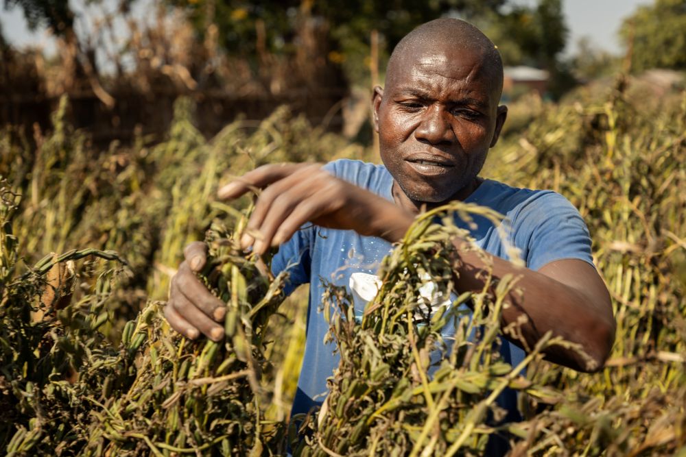 Odd Fellow styrker familier i Ngabu. Foto: Cornel van Heerden