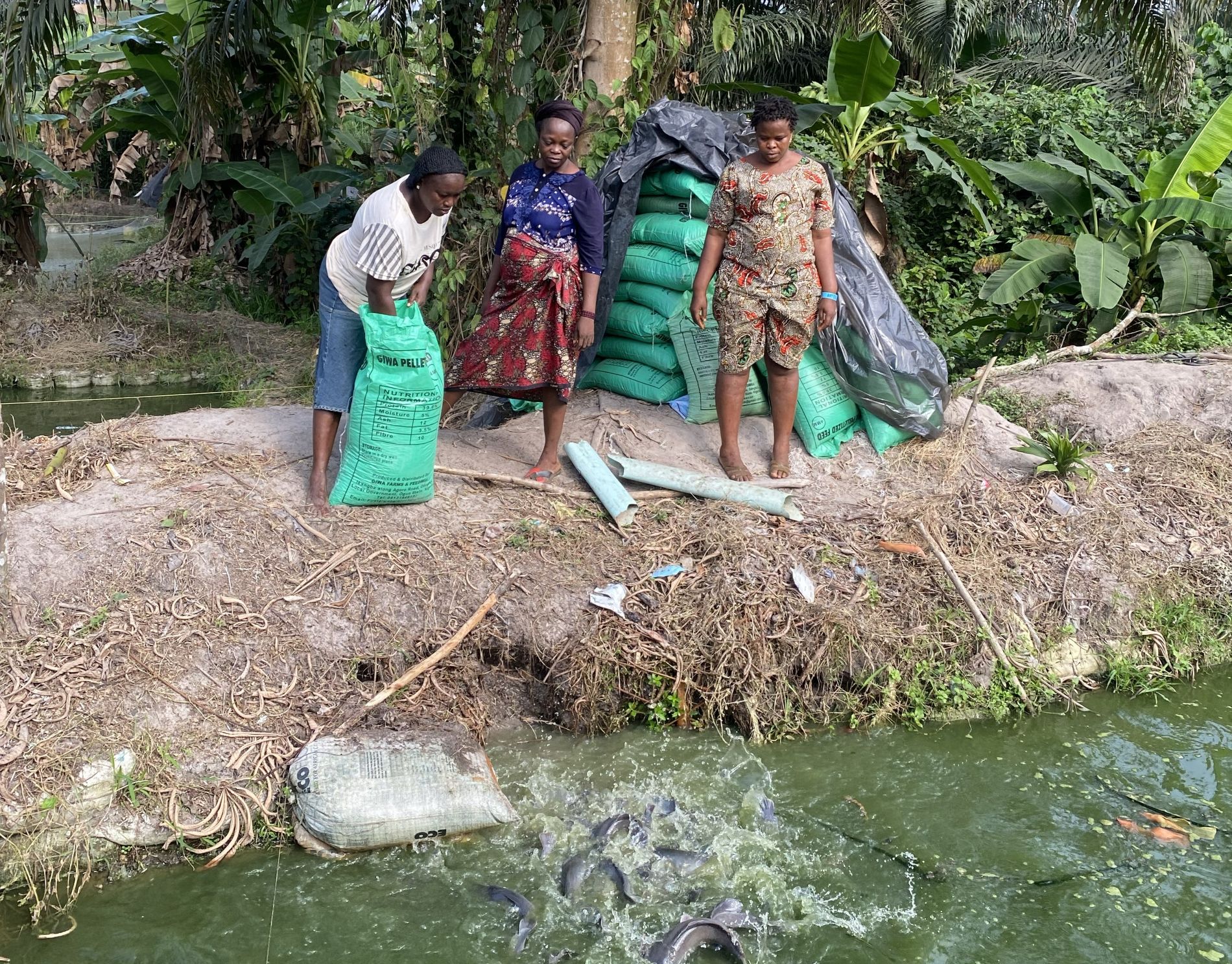 Medlemmer av spare- og lånegruppe i Grace Village i Nigeria ved fiskedam.