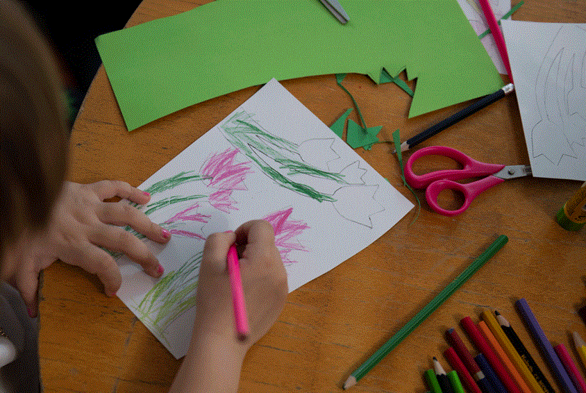Jente som tegner rosa tulipaner. Vi ser hendene hennes, tegningen, fargeblyanter, fargerikt papir og en saks. Foto: Katerina Ilievska