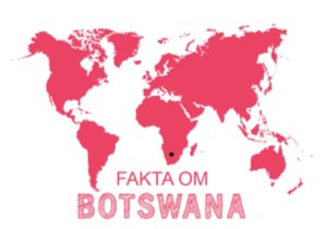 Kart_BotswanaKart_BotswanaKart_Botswana
