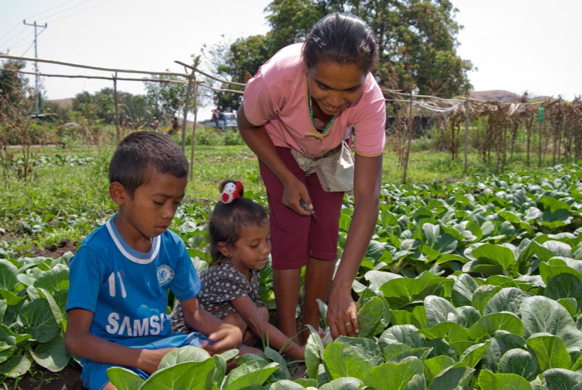 Familier mottar støtte til grønnsaksdyrking i et SOS-familieprogram i Indonesia. Foto: Benno Neeleman