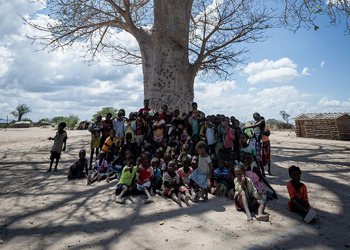 En stor gruppe barn fra Mosambik sitter i skyggen av et tre. Foto: Cornel van Heerden