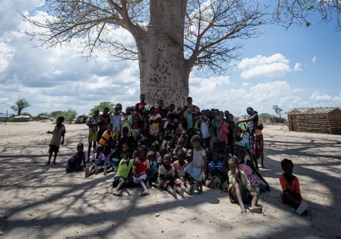 En stor gruppe barn fra Mosambik sitter i skyggen av et tre. Foto: Cornel van Heerden
