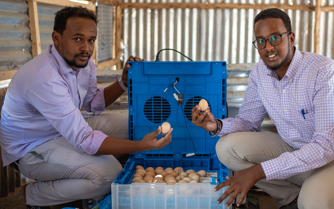 Ayman og Abdi sitter ved verpekassa og holder egg varsom i hånda. Foto: Lydia Matler
