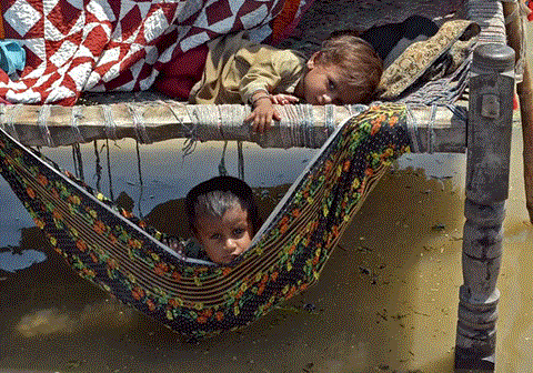 Flom i Pakistan: To barn ligger i en provisorisk beskyttelse som står på påler, det er vann på alle kanter. Foto: Naseebullah Jamali